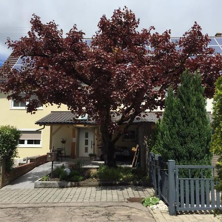 Apartmentvermietung Ingrid Bolkart - Voehlino 2 Illertissen Eksteriør billede